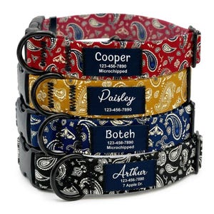 Könnte beinhalten: Vier Hundehalsbänder übereinander, jedes mit einem anderen Paisley-Muster in Rot, Gold, Marineblau und Schwarz. Jedes Halsband hat eine schwarze Schnalle und ein Namensschild mit dem Namen des Hundes, der Telefonnummer und "Microchipped" oder einer Adresse.