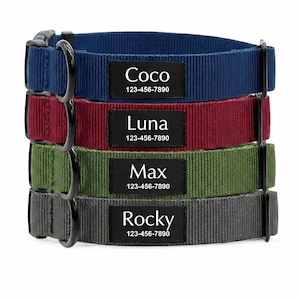Peut inclure: Quatre colliers pour chiens personnalisés empilés, chacun d'une couleur différente : bleu marine, bordeaux, vert olive et gris. Chaque collier a une étiquette noire avec le nom du chien et le numéro de téléphone : Coco, Luna, Max et Rocky.