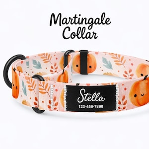 Puede incluir: Un collar martingale rosa con un estampado otoñal de calabazas y hojas. El collar tiene una anilla en D de metal negro y una etiqueta negra con el nombre "Stella" y un número de teléfono.