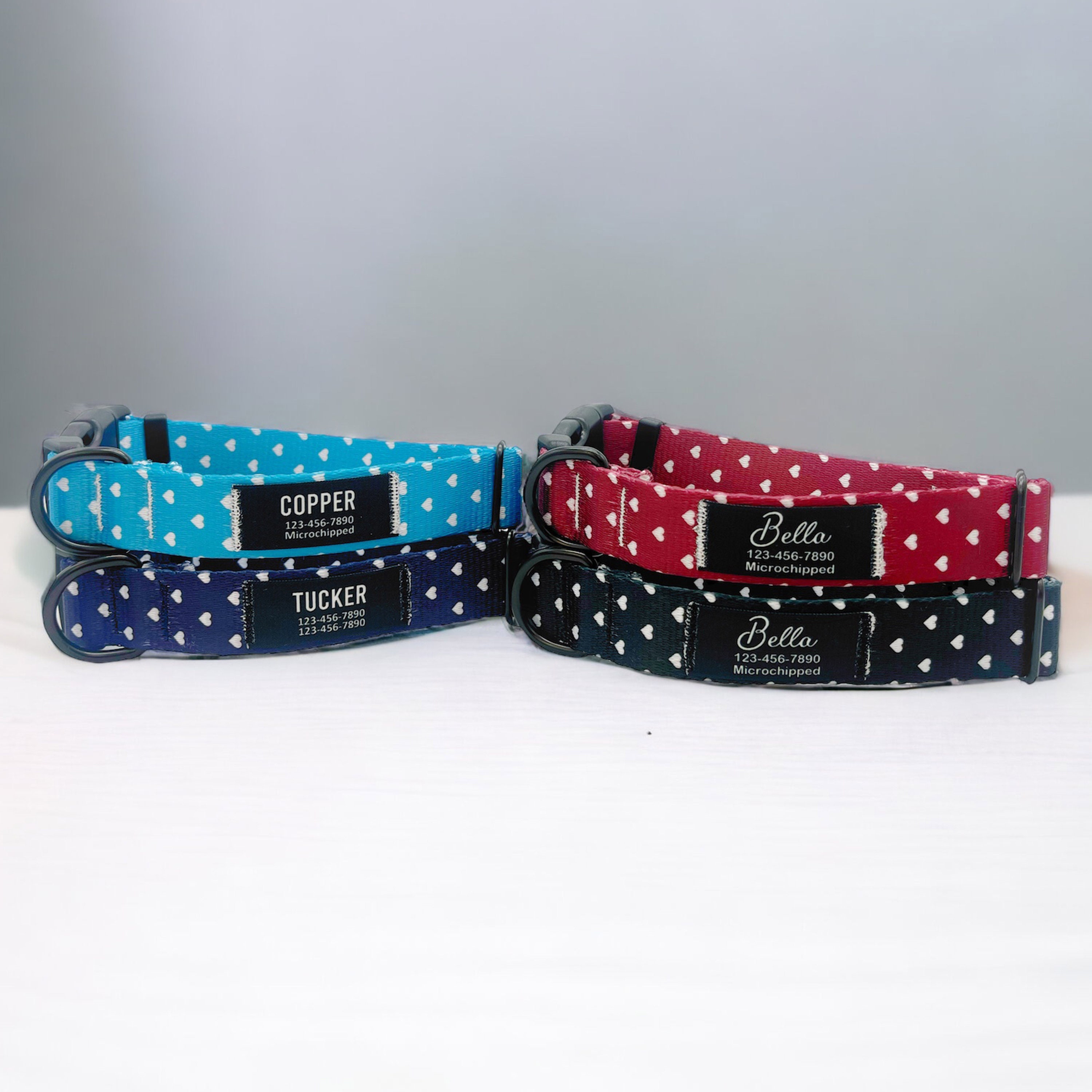 Hundehalsband Mit Gravur – Personalisiert & Hochwertig