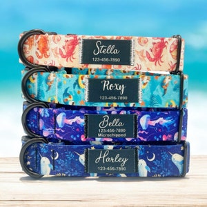 Puede incluir: Cuatro collares de perro coloridos apilados uno encima del otro. Cada collar tiene un diseño diferente y una etiqueta negra con un nombre y un número de teléfono. Los collares son: Stella 123-456-7890, Roxy 123-456-7890, Bella 123-456-7890 Microchipado, Harley 123-456-7890.