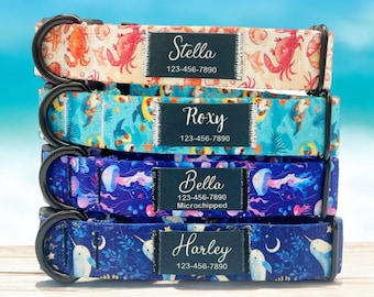Può includere: Quattro collari per cani colorati impilati uno sopra l'altro. Ogni collare ha un design diverso e un'etichetta nera con un nome e un numero di telefono. I collari sono: Stella 123-456-7890, Roxy 123-456-7890, Bella 123-456-7890 Microchippato, Harley 123-456-7890.