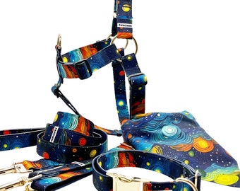 Set collare per cani Van Gogh Notte stellata: guinzaglio personalizzato, pettorina, fibbia in metallo con incisione personalizzata