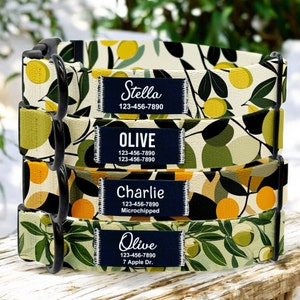 以下が含まれることがあります： レモンとオリーブの枝の模様がついた犬用首輪が4つ。首輪は重ねられています。一番上の首輪には「Stella」という名前と電話番号「123-456-7890」が書かれています。2番目の首輪には「Olive」という名前と電話番号「123-456-7890」が書かれています。3番目の首輪には「Charlie」という名前と電話番号「123-456-7890」と「マイクロチップ済み」という文字が書かれています。一番下の首輪には「Olive」という名前と電話番号「123-456-7890」と住所「7 Apple Dr.」が書かれています。