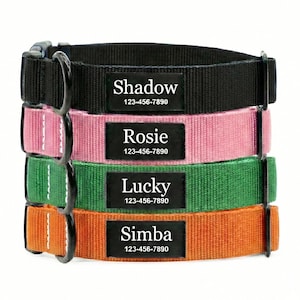 May include: Four personalized dog collars stacked vertically. The top collar is black, followed by pink, green, and orange. Each collar has a black rectangular name tag with a pet's name and phone number in white text. The names are Shadow, Rosie, Lucky, and Simba.