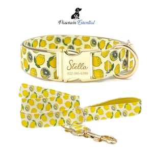 Collar y correa para perro Lemon: collar personalizado con nombre grabado