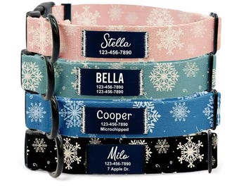 Collier personnalisé pour chien en forme de flocon de neige, collier d'hiver personnalisé pour animal de compagnie avec écusson pour nom