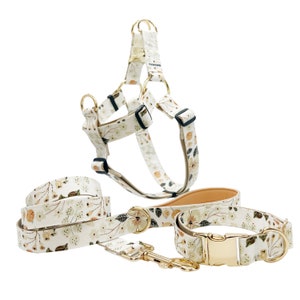 May include: A white dog harness with a floral pattern and gold hardware. The harness is paired with a matching leash and collar.
