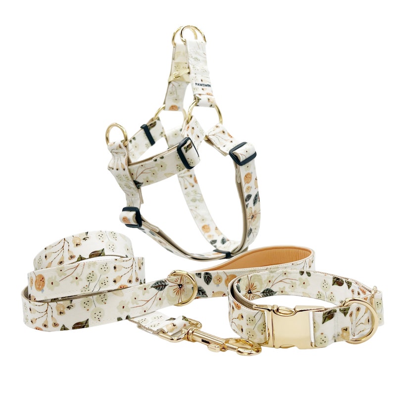 May include: A white dog harness with a floral pattern and gold hardware. The harness is paired with a matching leash and collar.