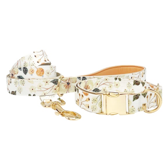 Collare Personalizzato Con Nome Del Cane Per Imbracatura Per Cani - Foto 12