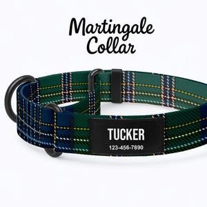 Könnte beinhalten: Ein Martingale-Halsband mit einem grün, blau und weiß karierten Muster. Das Halsband hat einen schwarzen Metall-D-Ring und ein schwarzes Namensschild mit dem Namen "TUCKER" und einer Telefonnummer.