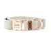 Neutral Custom Dog Collar, Adjustable Neck Collar for Small, Medium, Large Dogs, Metal Buckle, Personalized Engraved Dog Collar 