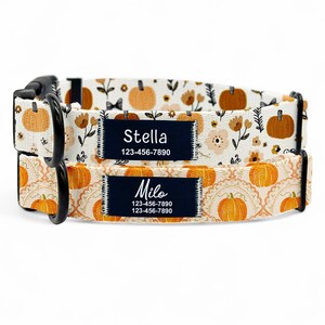 May include: Two dog collars with a fall-themed pumpkin pattern. The top collar has a label that says "Stella" and a phone number. The bottom collar has a label that says "Milo" and a phone number. The collars have black hardware.