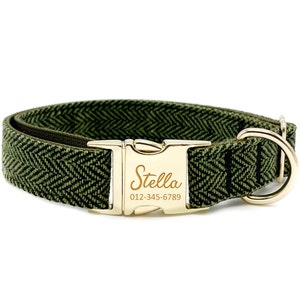May include: Green herringbone dog collar with a gold buckle and a personalized name tag that reads "Stella" and a phone number.