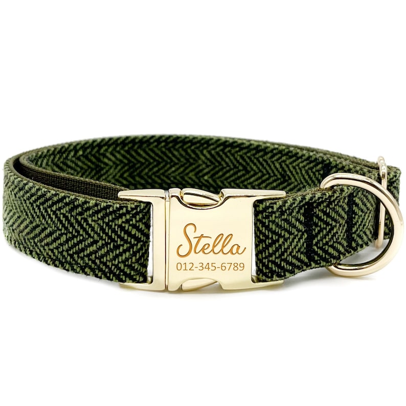 May include: Green herringbone dog collar with a gold buckle and a personalized name tag that reads "Stella" and a phone number.