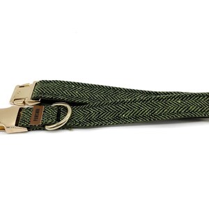 May include: A green herringbone patterned dog collar with gold metal hardware and the word "Paws" printed on the collar.