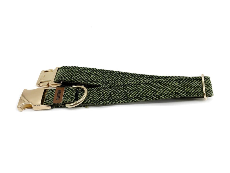 May include: A green herringbone patterned dog collar with gold metal hardware and the word "Paws" printed on the collar.