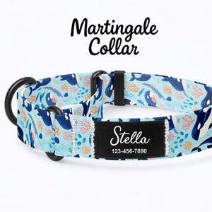 Può includere: Un collare martingale blu con un motivo a balene e coralli. Il collare ha un anello a D nero e un'etichetta con il nome nero con "Stella" e un numero di telefono. Le parole "Martingale Collar" sono sopra il collare.