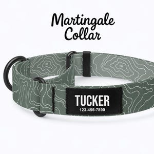 Può includere: Un collare Martingale verde salvia con un motivo a linee topografiche bianche. Il collare include componenti in metallo nero e una targhetta rettangolare nera con il testo bianco TUCKER e il numero 123-456-7890 stampati sopra.