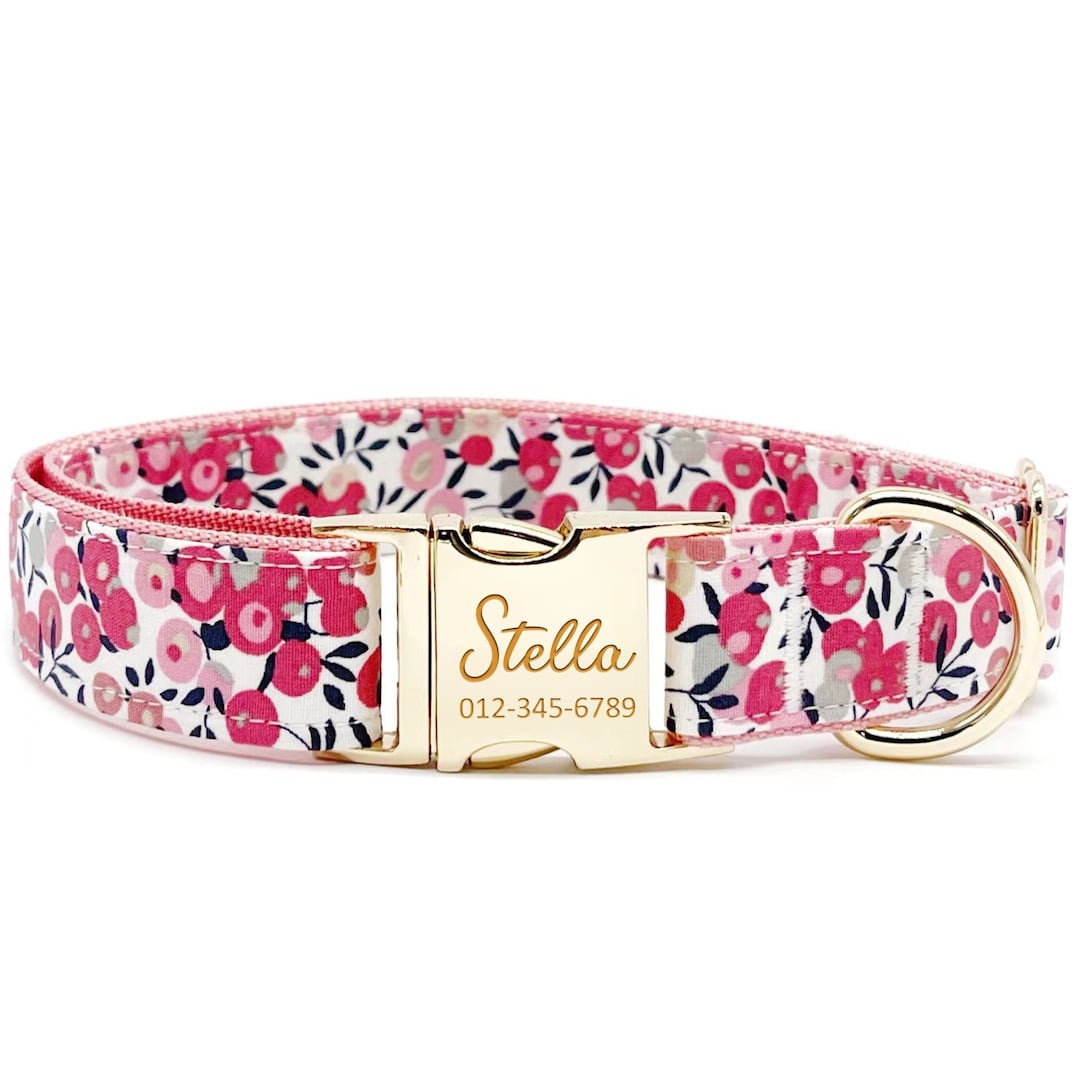 49 Migliore Collare Cane Personalizzato Nel 2022 In Base A 651 Recensioni - Foto 3