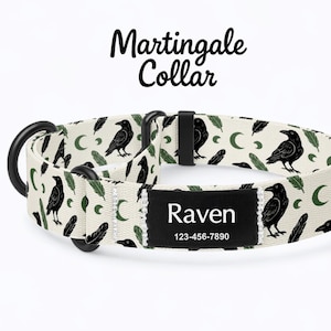May include: A white Martingale dog collar with a black raven and feather pattern. The collar has a black metal D-ring and a black name tag that reads "Raven" with a phone number. The text "Martingale Collar" is above the collar.
