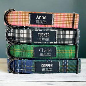 Op de afbeelding: Vier hondenriemen gestapeld op elkaar. De riemen zijn gemaakt van geruit stof in verschillende kleuren, waaronder roze, zwart-wit, groen en blauw. Elke riem heeft een zwarte metalen D-ring en een zwart label met een naam en telefoonnummer. De labels vermelden ook "Microchip". De namen op de labels zijn Anne, Tucker, Charlie en Copper.