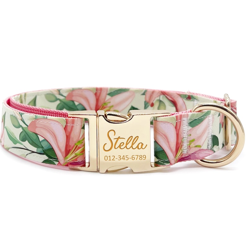 May include: A pink and green floral dog collar with a gold buckle and a personalized name tag that reads "Stella" and a phone number.