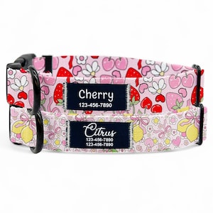 Pode incluir: Duas coleiras rosa para cães com fechos pretos. Uma coleira é rotulada "Cherry" e a outra "Citrus", cada uma com um número de telefone. As coleiras apresentam um padrão de morangos, cerejas, limões e flores.