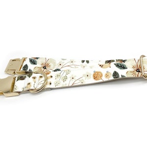 May include: A white dog collar with a floral pattern and gold hardware. The collar has a buckle closure and a D-ring for attaching a leash.