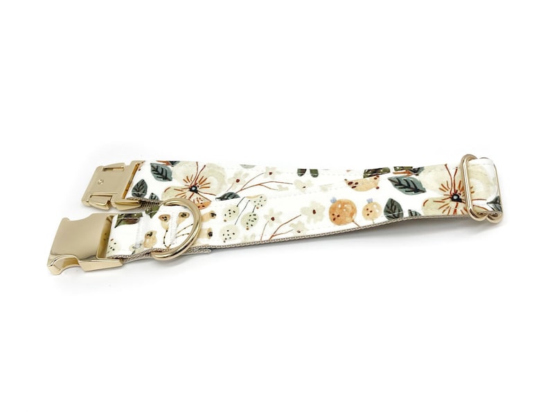 May include: A white dog collar with a floral pattern and gold hardware. The collar has a buckle closure and a D-ring for attaching a leash.