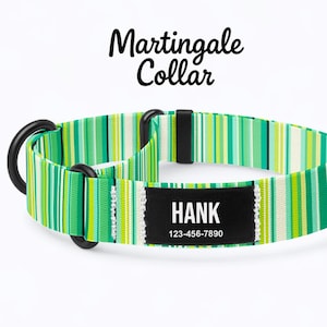 Può includere: Un collare Martingale a righe verdi e bianche per cani con il nome "HANK" e un numero di telefono su una toppa nera. Il collare ha hardware in metallo nero.