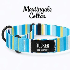 Può includere: Un collare Martingale a righe blu, gialle e bianche per cani, con il nome "Tucker" e un numero di telefono su una toppa nera. Il collare ha finiture in metallo nero.