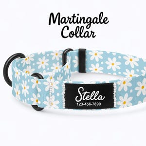 May include: A light blue martingale collar with a white daisy pattern. The collar has black hardware and a black label with the name "Stella" and a phone number. The text "Martingale Collar" is above the collar.