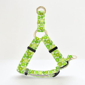 Green Lime Hundegeschirr: Verstellbar, Namensgravur, Metallschnalle