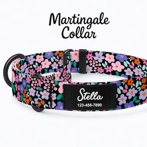 May include: A black martingale collar with a floral pattern in pink, purple, orange, and blue. The collar has a black metal D-ring and a black name tag that reads "Stella" and a phone number.