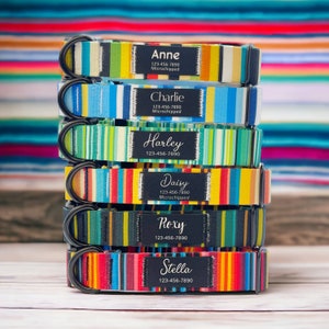 May include: A stack of six colourful dog collars with black metal buckles and personalised name tags. Each tag includes the dog's name, phone number, and the words "Microchipped".