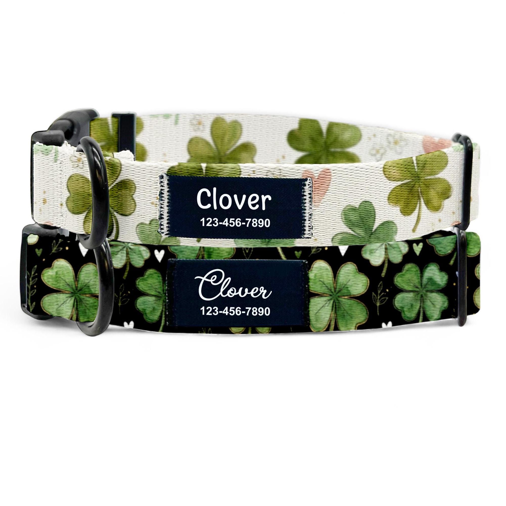Personalized Clover Dog Collar, Custom Shamrock Pet Collar Name