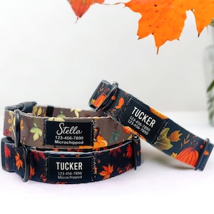 Könnte beinhalten: Zwei schwarze und braune Hundehalsbänder mit Herbstmotiven. Ein Halsband trägt den Namen "Stella" und die Telefonnummer "123-456-7890" mit dem Text "Mikrogechipt". Das andere Halsband trägt den Namen "Tucker" und die Telefonnummer "123-456-7890" mit dem Text "Mikrogechipt".