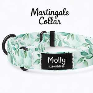 Può includere: Un collare martingale verde e bianco con un motivo a foglie. Il collare ha finiture nere e un'etichetta nera con il nome "Molly" e un numero di telefono. Le parole "Martingale Collar" sono scritte in nero.