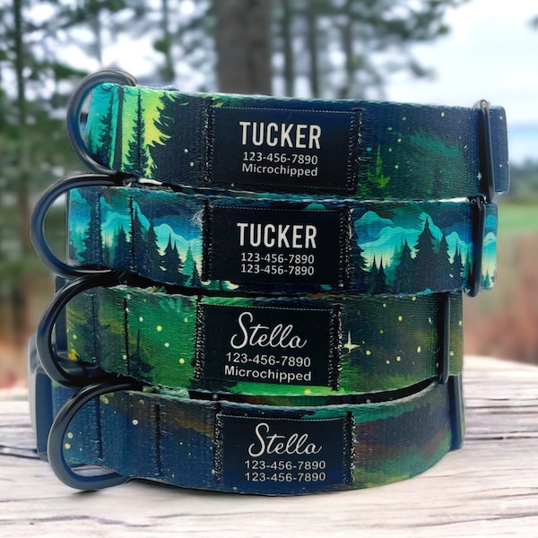 Personalized Forest Green Nylon Dog Collar: Custom Fabric Name Patch ID