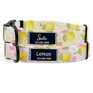 Può includere: Due collari per cani con un motivo a limoni e fiori. Ogni collare ha una fibbia nera e un'etichetta blu navy con un nome e un numero di telefono. Un'etichetta dice "Soda" e l'altra dice "Lemon".