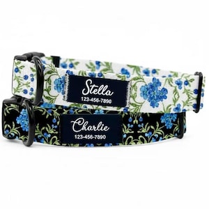 Può includere: Due collari per cani personalizzati. Uno è bianco con motivi floreali blu, l'altro è nero con motivi floreali blu. Ogni collare ha un'etichetta blu navy con un nome e un numero di telefono.