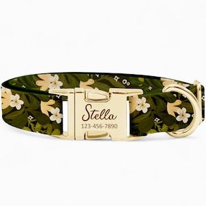 Collar de perro personalizado con nombre personalizado y herrajes metálicos – Cuento de hadas verde, perfecto para perros pequeños y grandes – Regalo único para mascotas