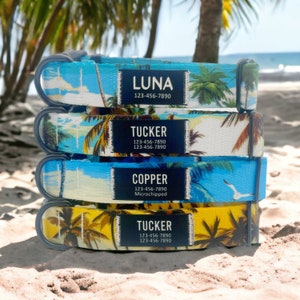 May include: Four colourful dog collars with tropical palm tree prints. The collars have personalised name tags with phone numbers and the text "Microchipped". The collars are stacked on top of each other on a sandy beach.