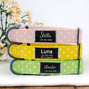 May include: Three dog collars with white heart patterns on pink, yellow, and green fabric. Each collar has a black tag with a name and phone number. The collars are stacked on top of each other. The top collar says "Stella 123-456-7890", the middle collar says "Luna 123-456-7890 Microchipped", and the bottom collar says "Charlie 123-456-7890".