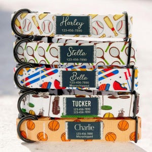 Puede incluir: Cinco collares de perro coloridos con hebillas de metal negro. Cada collar tiene un tema deportivo diferente y una etiqueta de nombre personalizada con un número de teléfono. Los collares están apilados uno encima del otro. Los collares presentan pelotas de béisbol y bates, raquetas de tenis, esquís, palos de golf y balones de baloncesto.