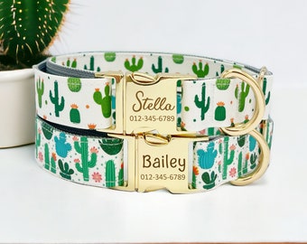 Cactus dog collar and leash hotsell