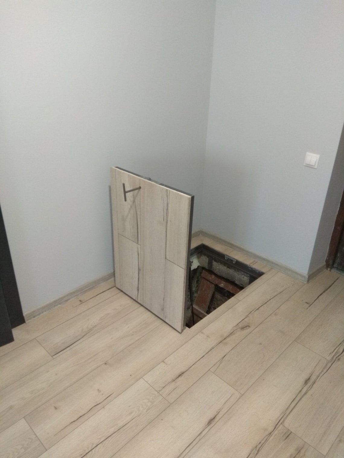 Cellar Hatch Door With Gas Spring Struts Invisible Basement Trapdoor ...