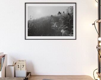 Field (2010, Badacsony) - Photo (digital print)