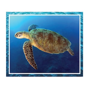 Patchwork Quilting Sewing Fabric Great Barrier Reef Turtle 1 Panel 90x110cm New